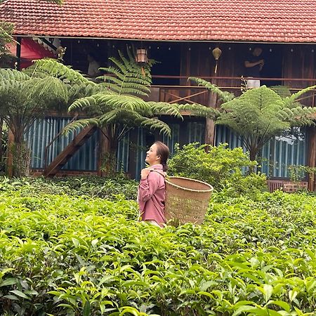 Villa Tea Garden House Bảo Lộc Exterior foto