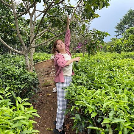 Villa Tea Garden House Bảo Lộc Exterior foto