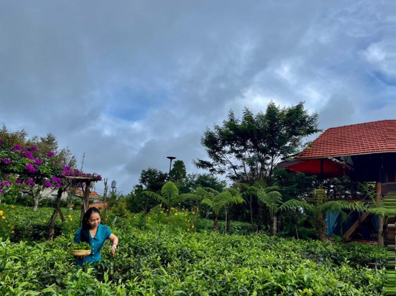 Villa Tea Garden House Bảo Lộc Exterior foto
