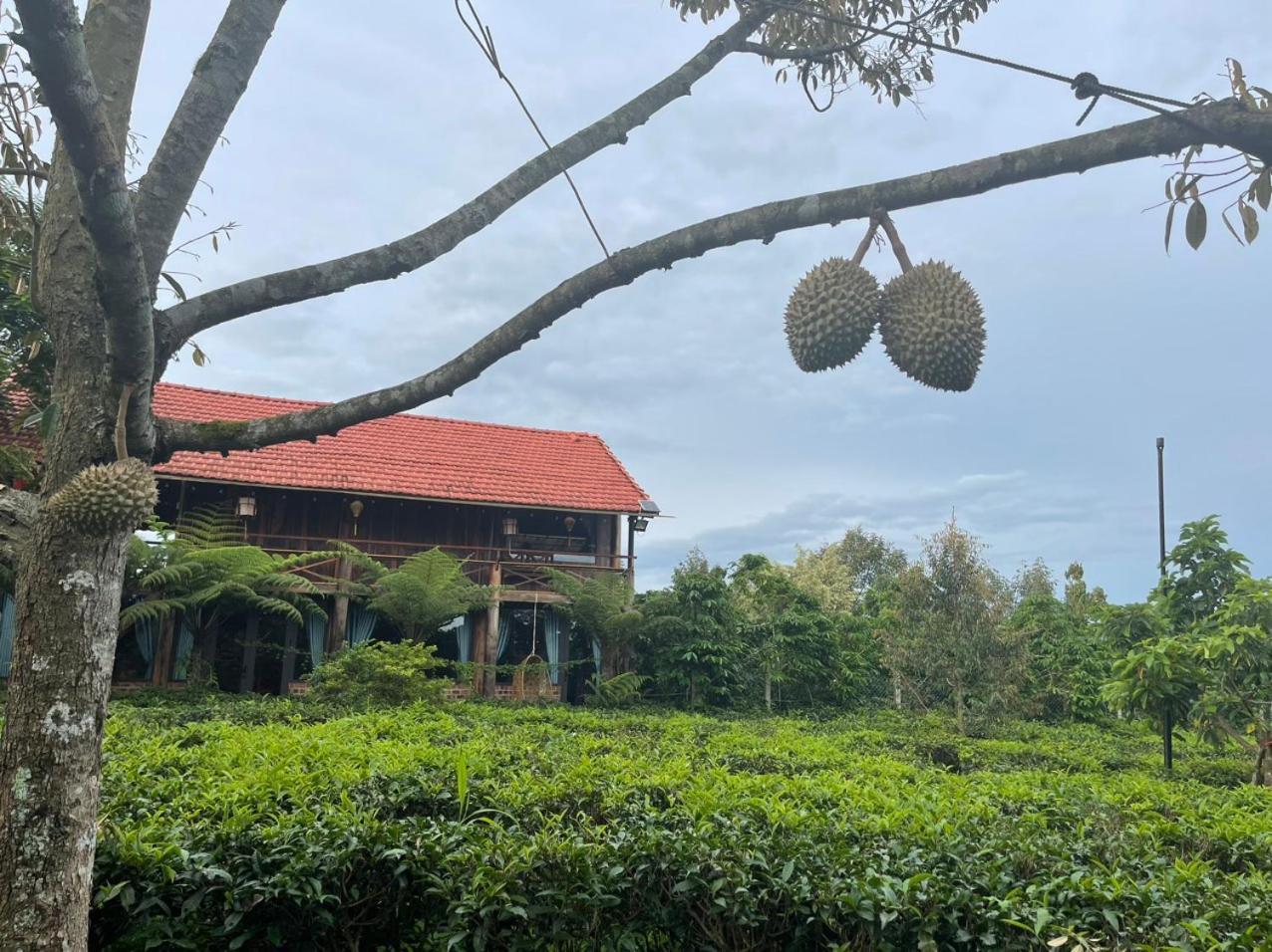 Villa Tea Garden House Bảo Lộc Exterior foto