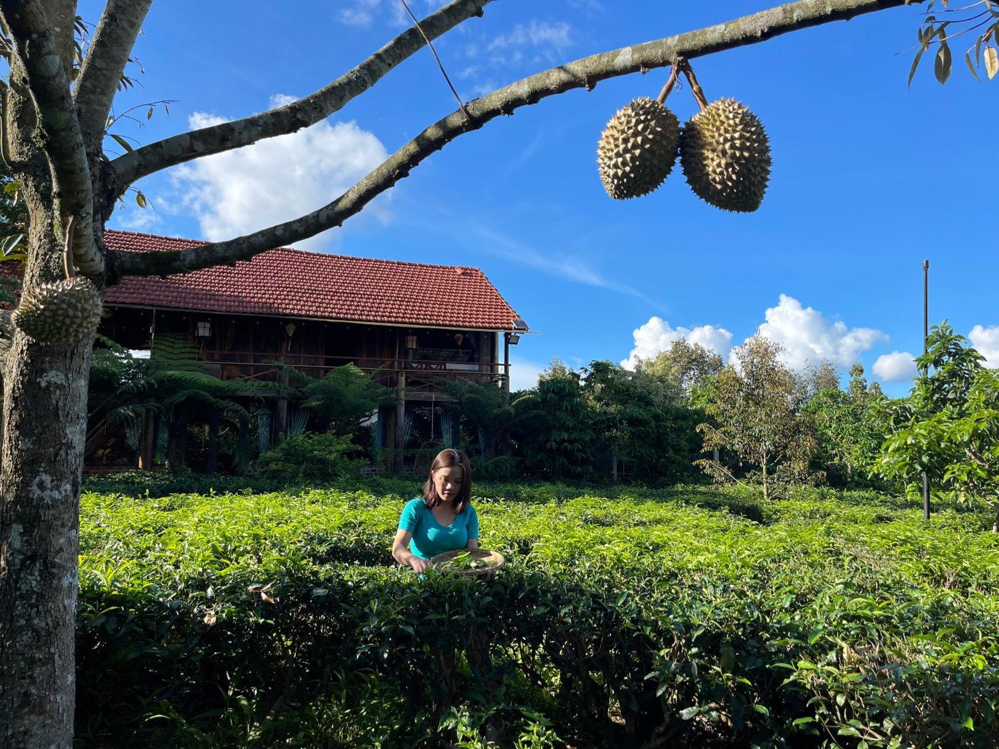 Villa Tea Garden House Bảo Lộc Exterior foto