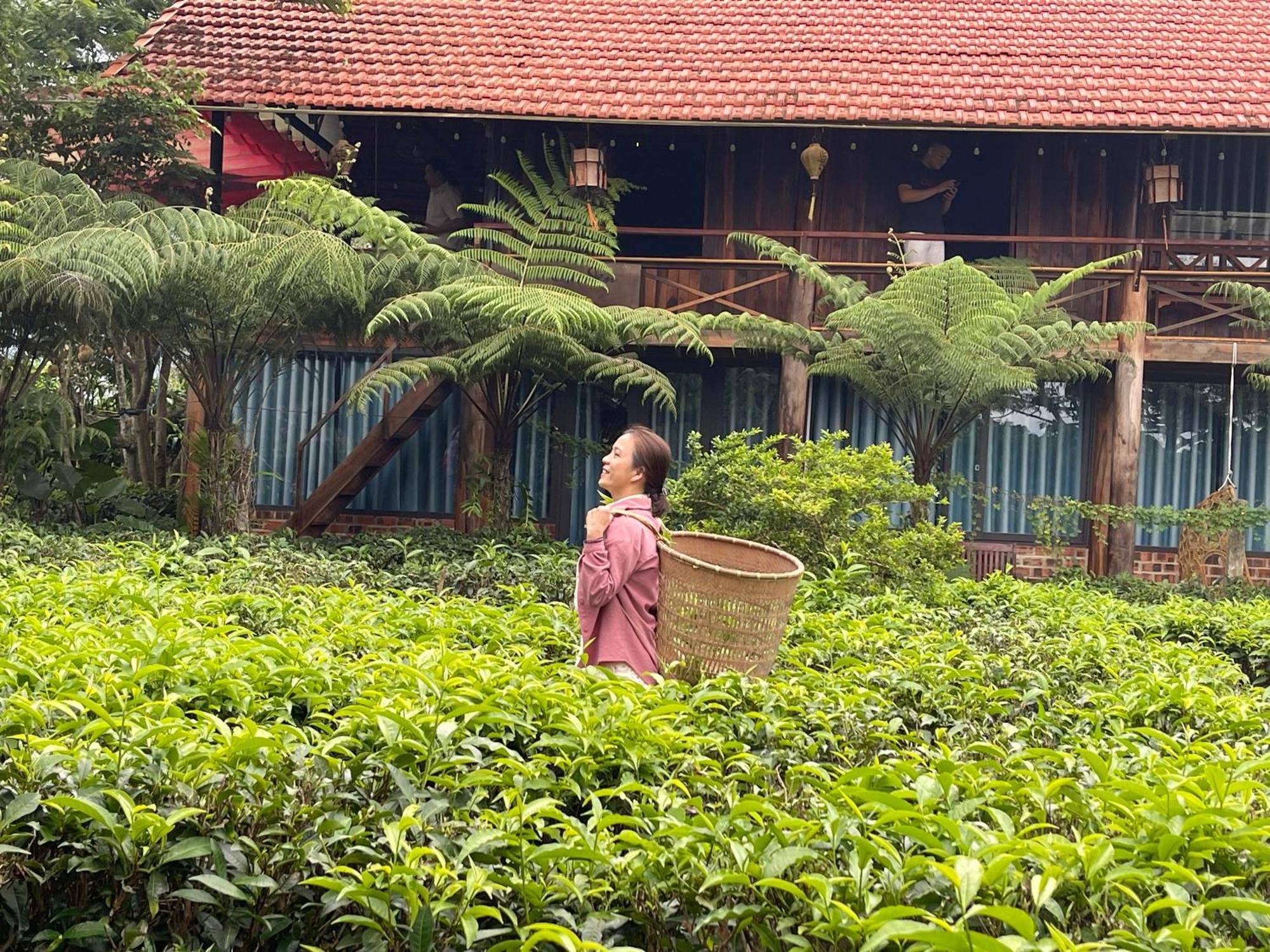 Villa Tea Garden House Bảo Lộc Exterior foto