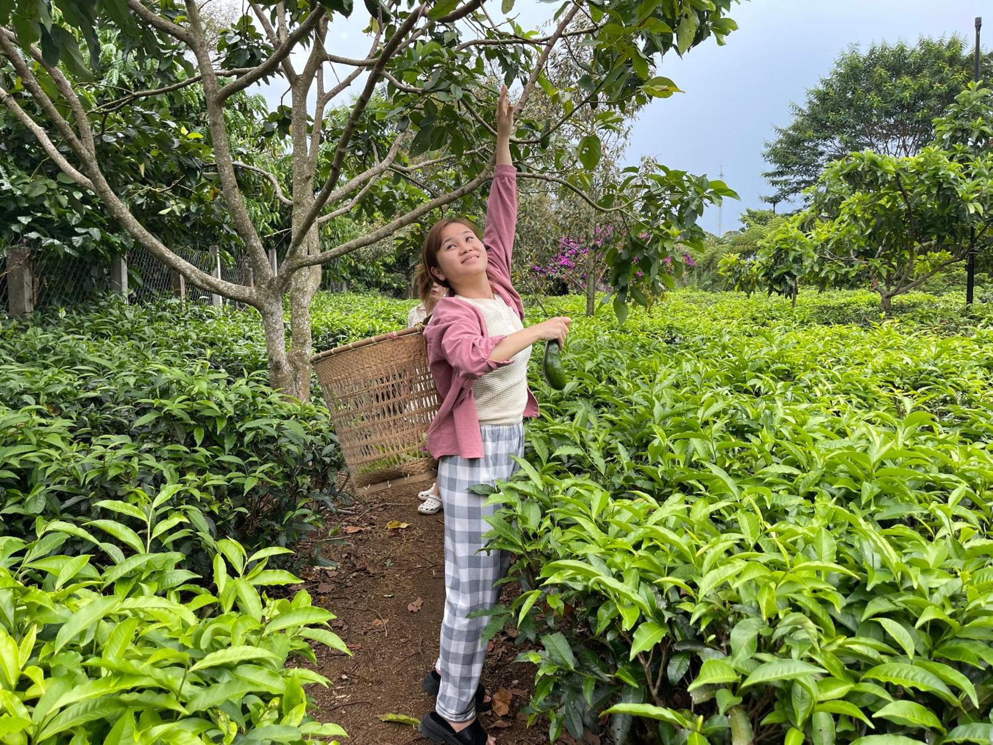 Villa Tea Garden House Bảo Lộc Exterior foto