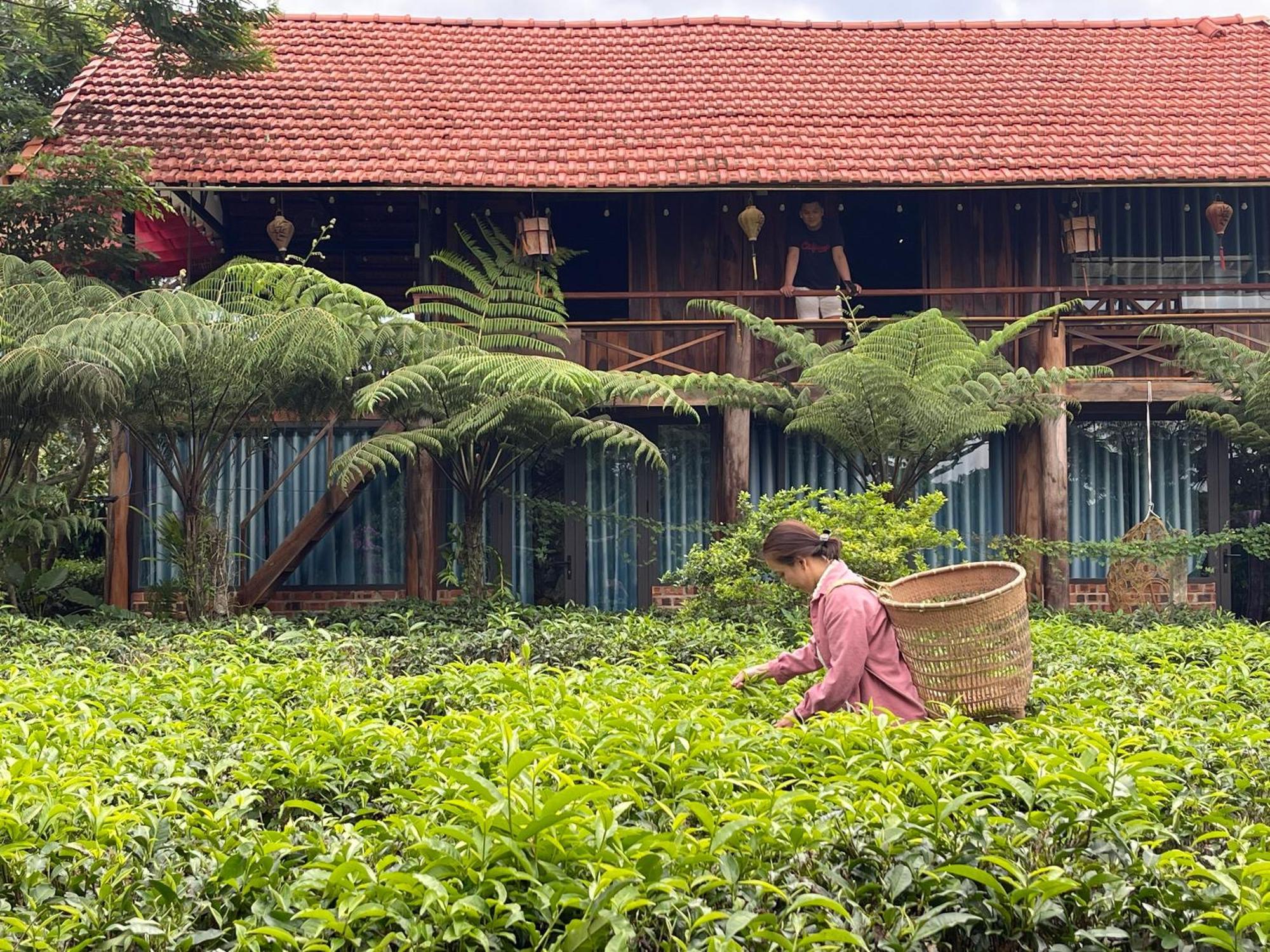 Villa Tea Garden House Bảo Lộc Exterior foto