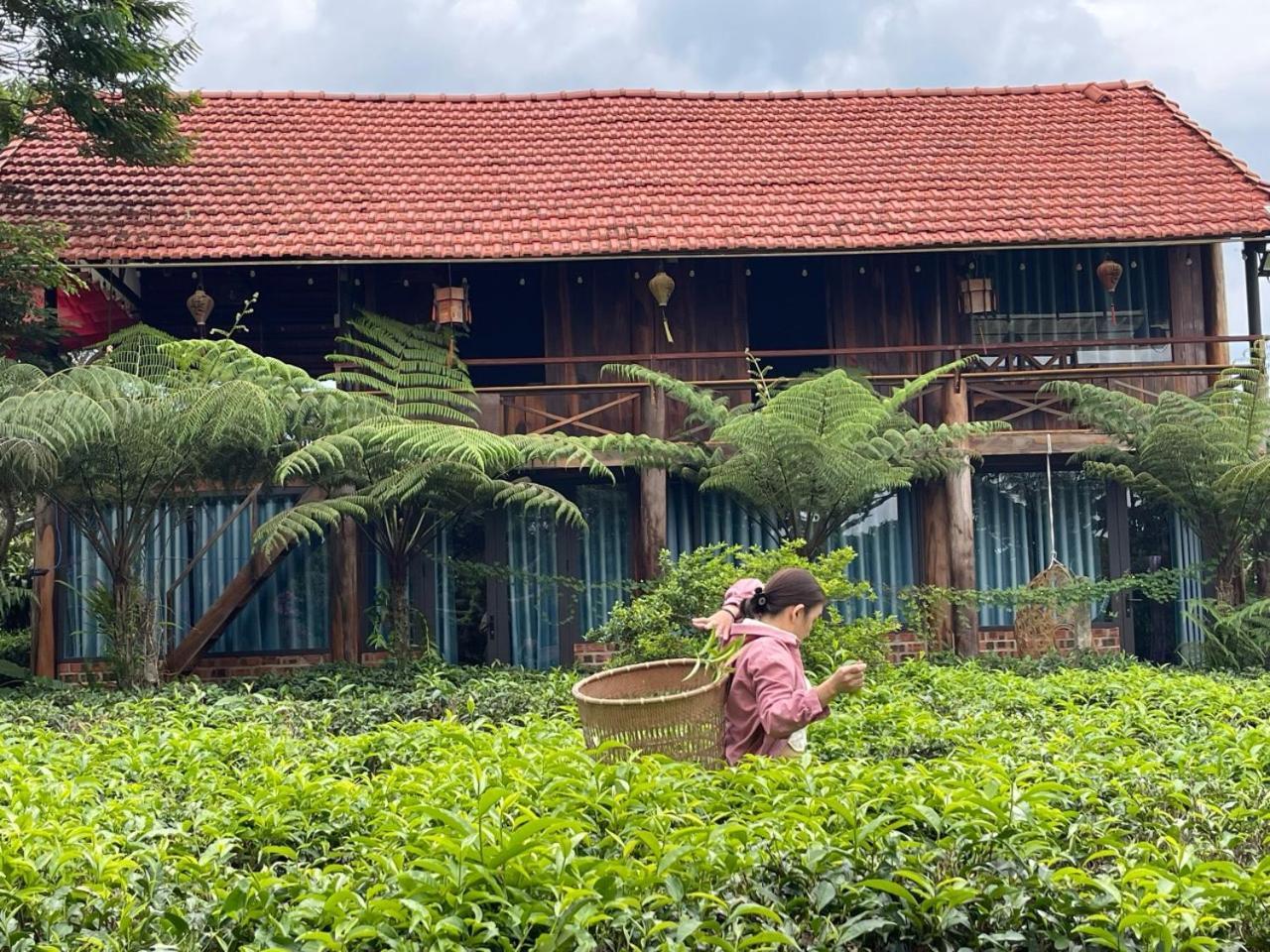 Villa Tea Garden House Bảo Lộc Exterior foto