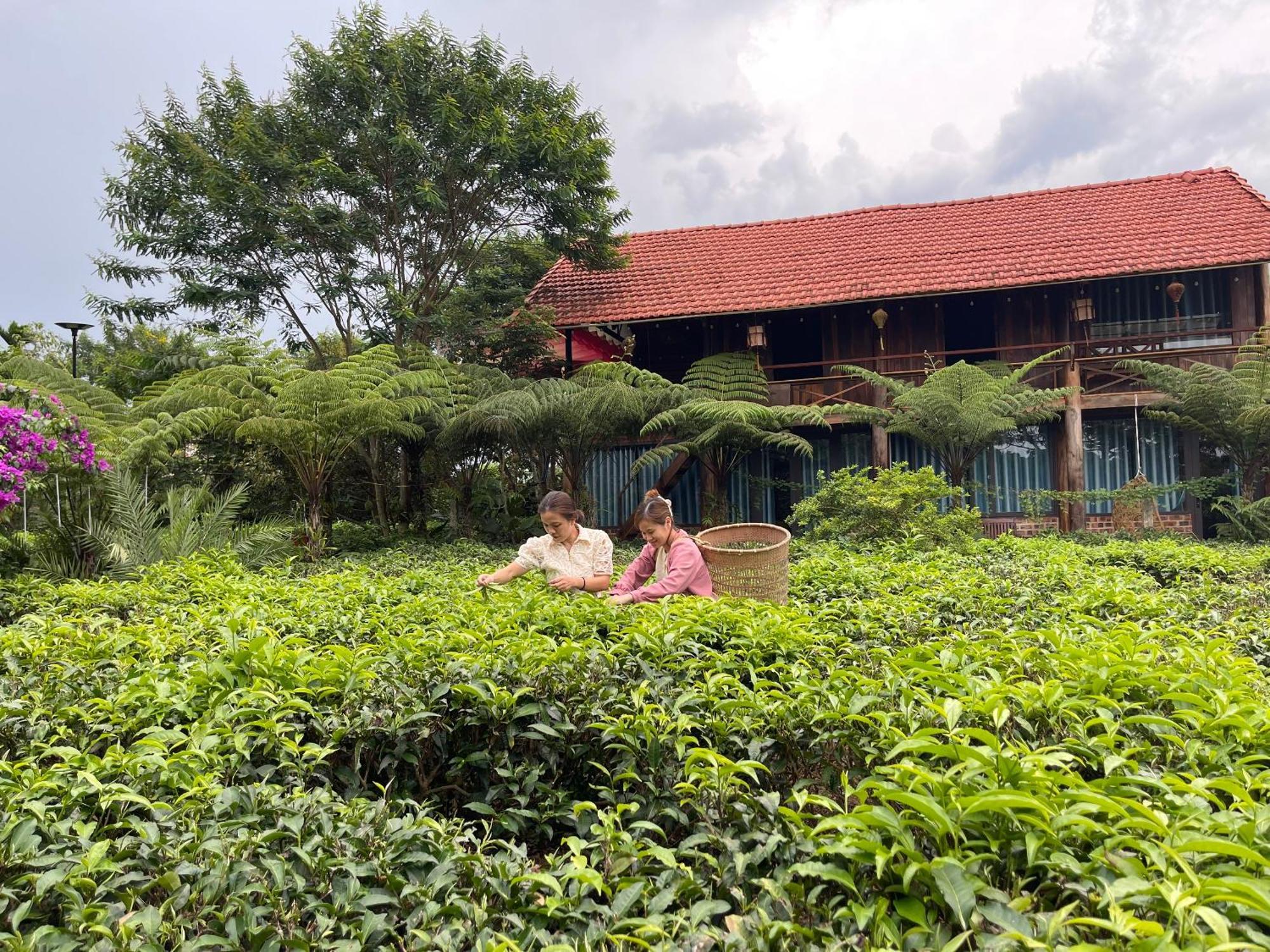 Villa Tea Garden House Bảo Lộc Exterior foto