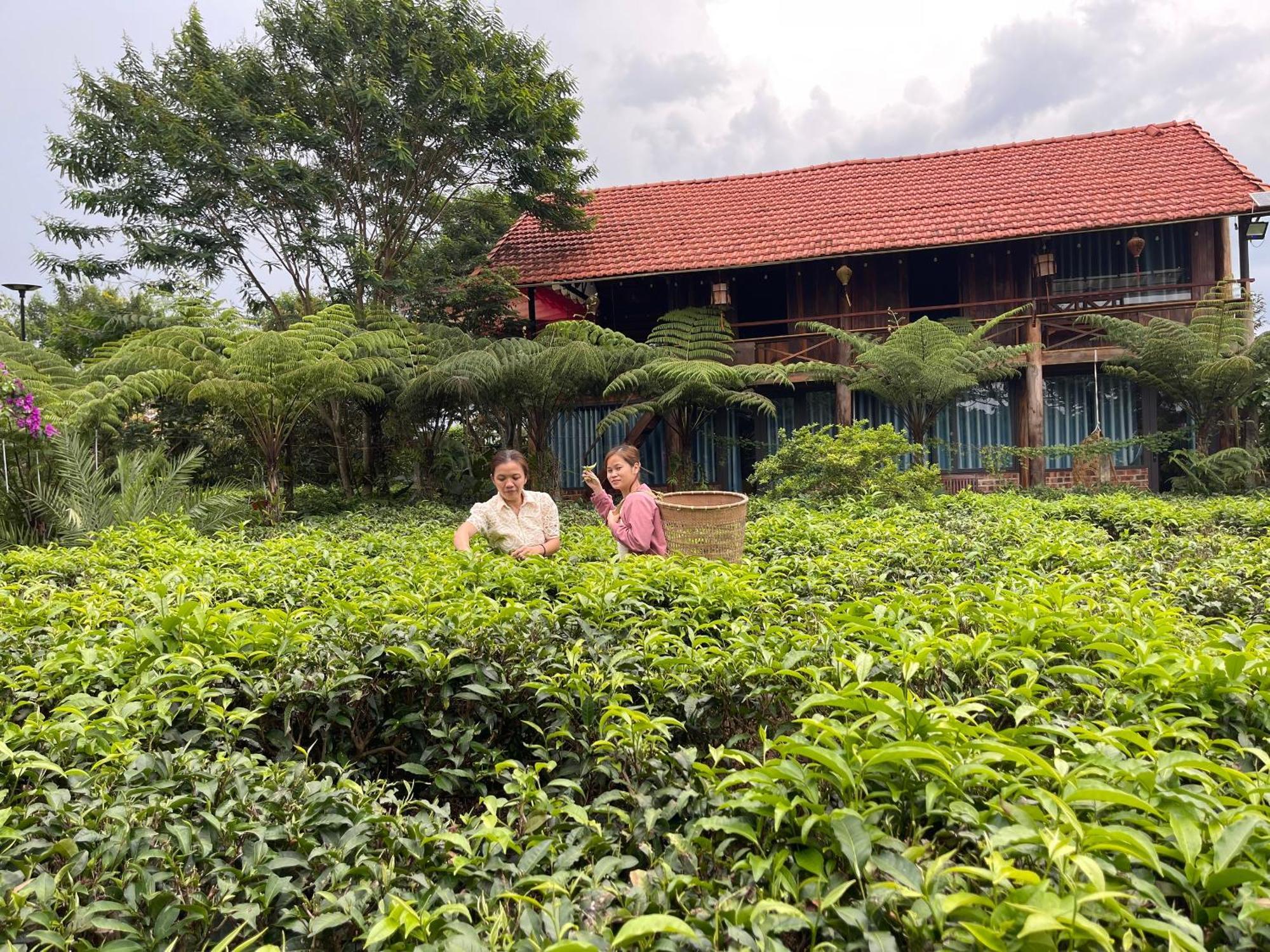 Villa Tea Garden House Bảo Lộc Exterior foto