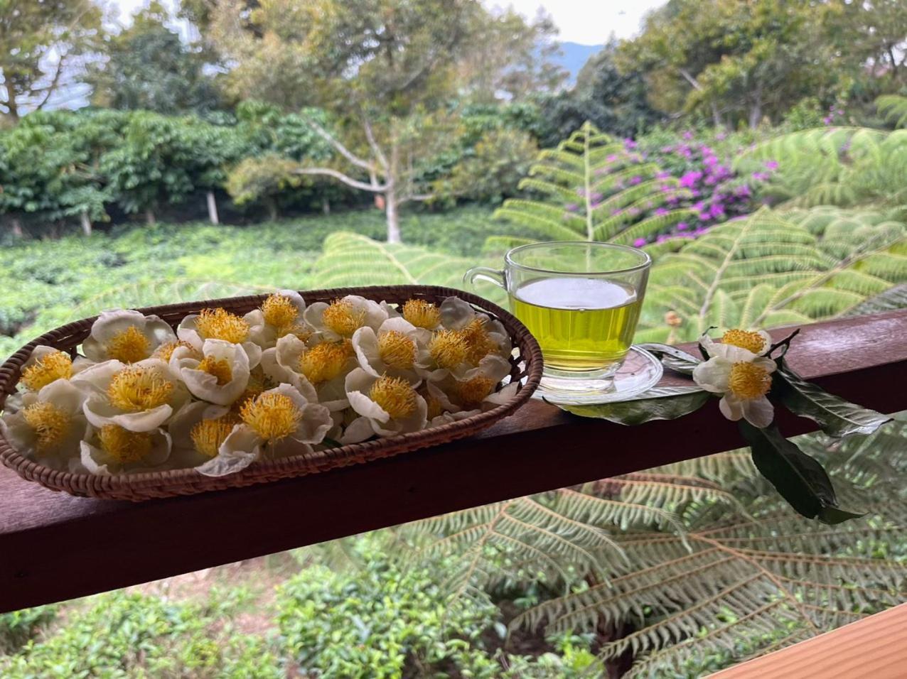 Villa Tea Garden House Bảo Lộc Exterior foto