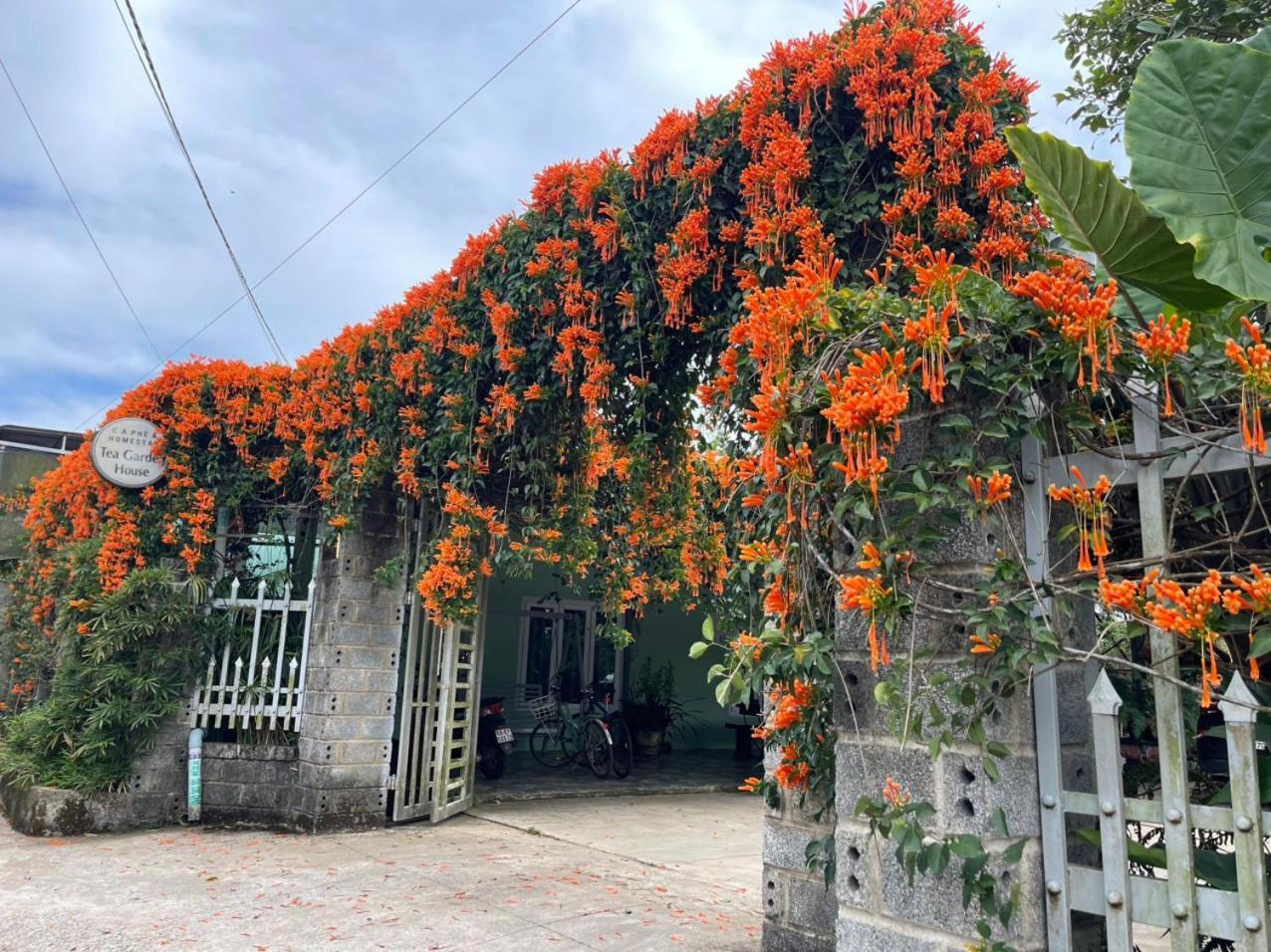 Villa Tea Garden House Bảo Lộc Exterior foto